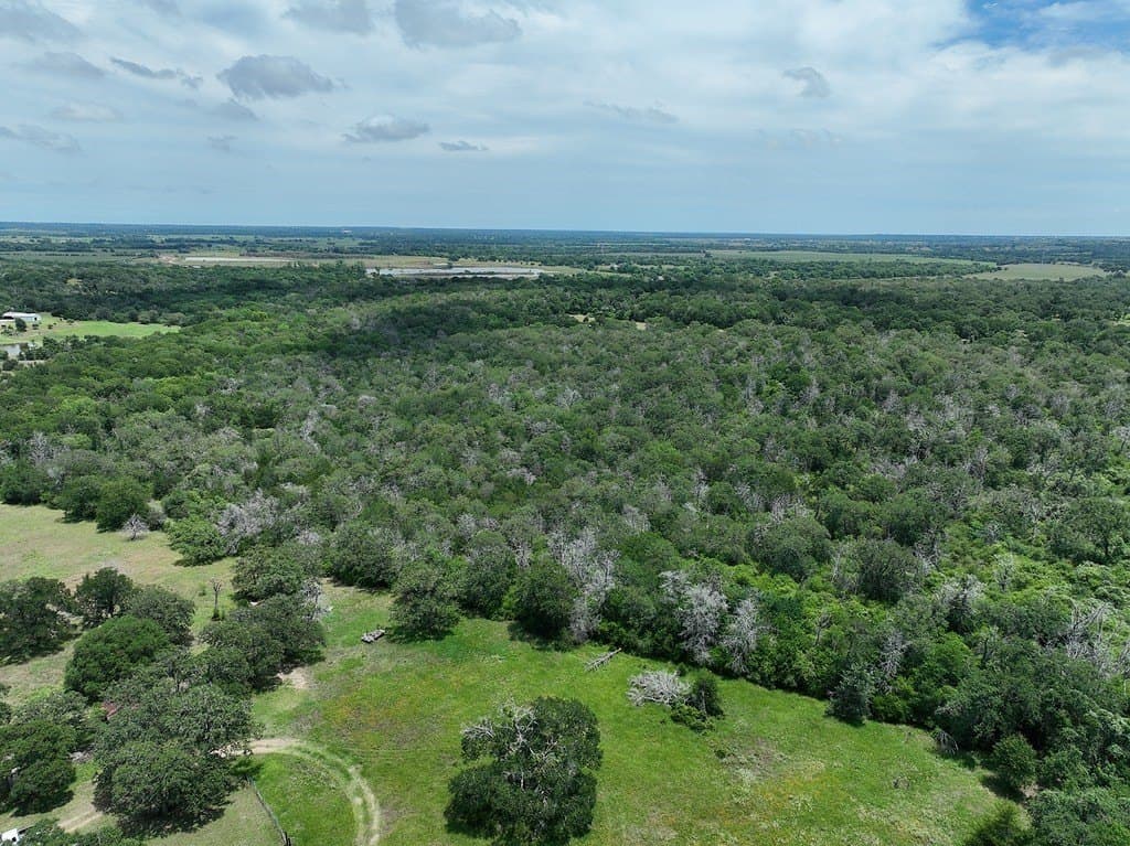 40 acres in Fayette County