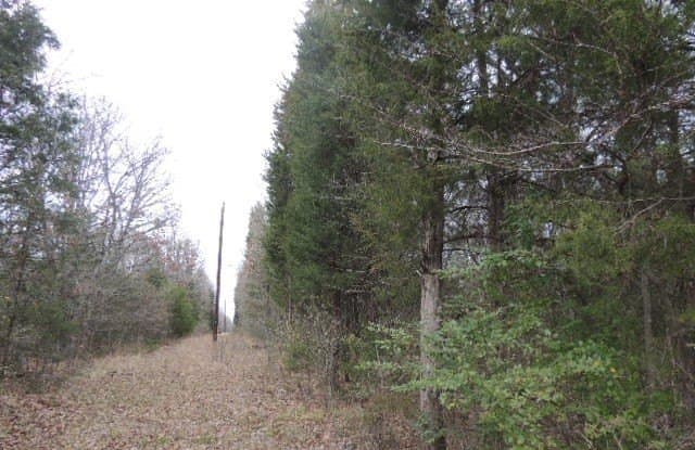 25 acres in Rains County