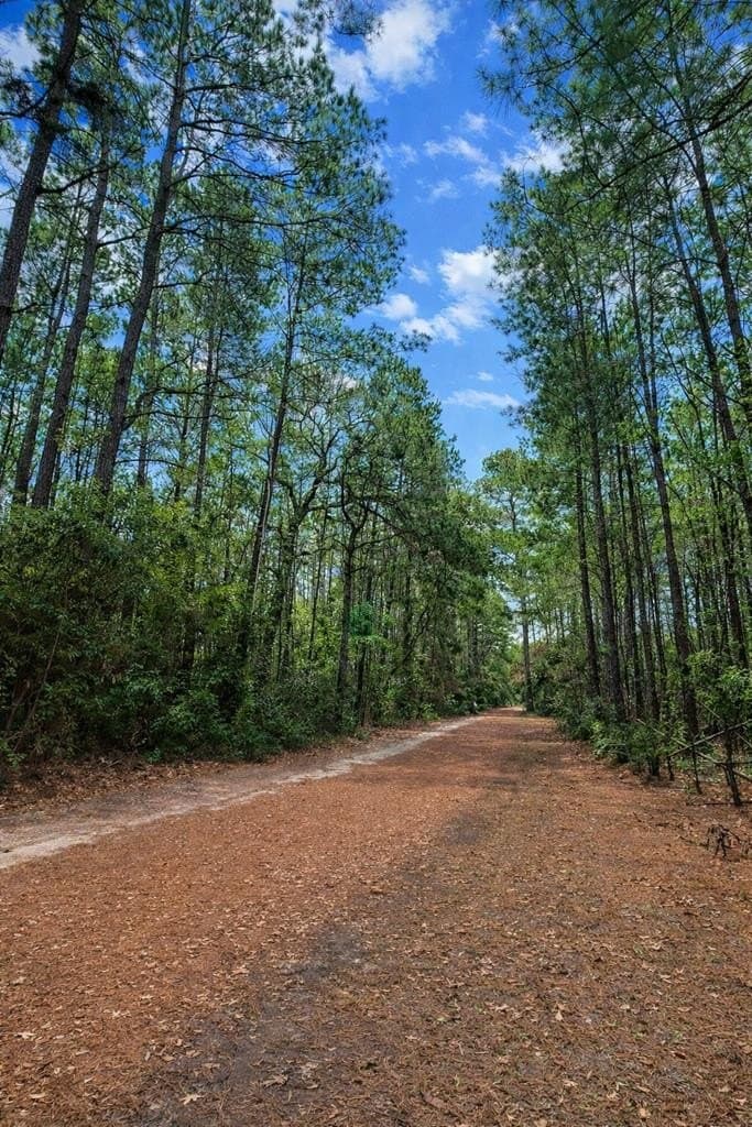 12.4 acres in Texas County