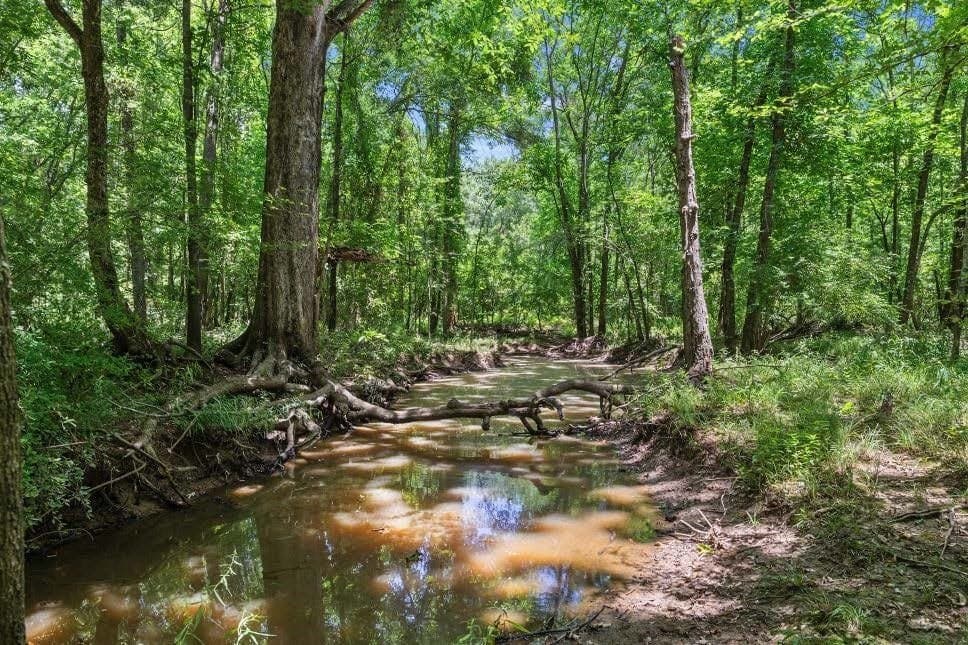 525.08 acres in Hopkins County