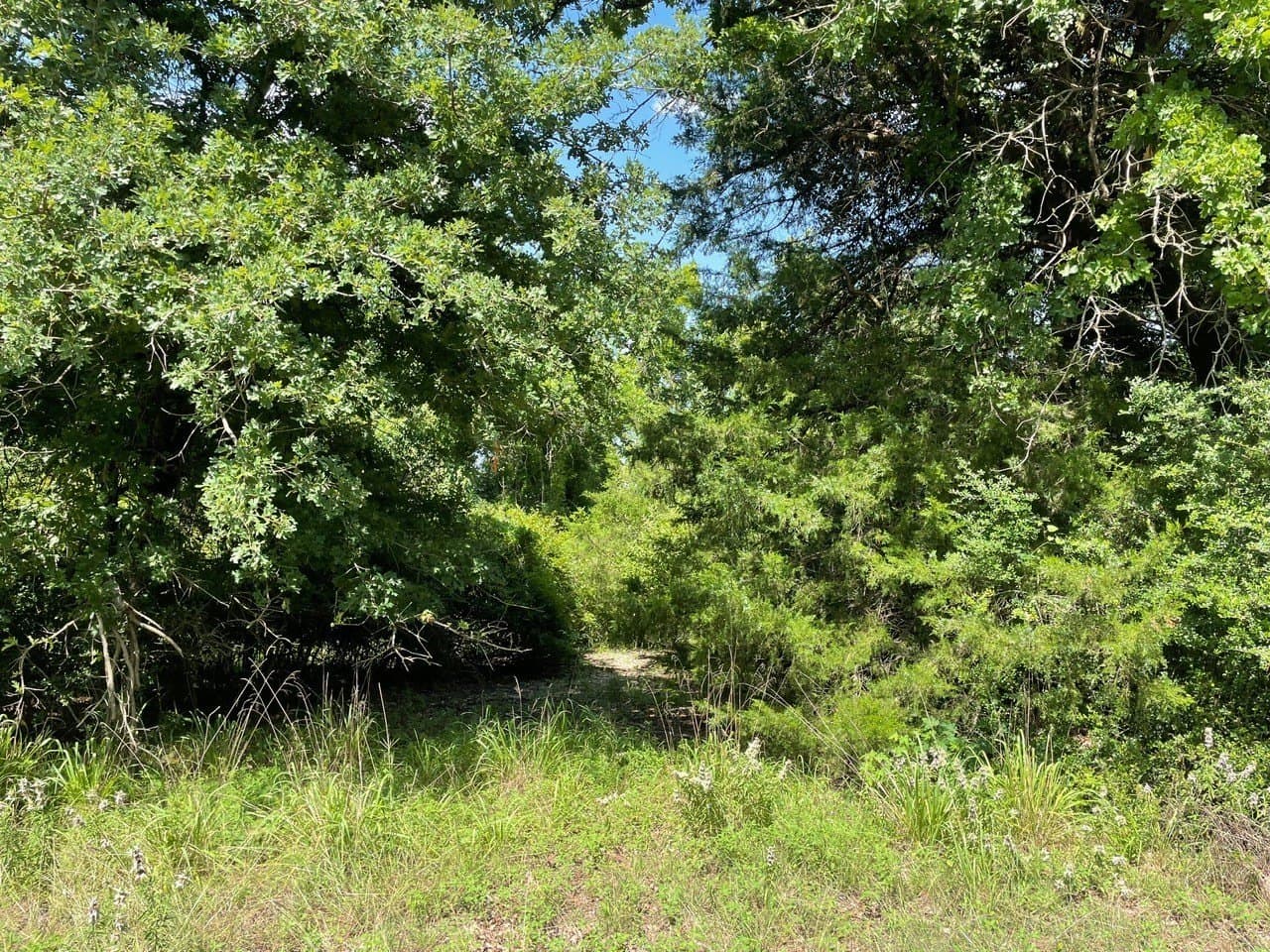 0.57 acres in Limestone County