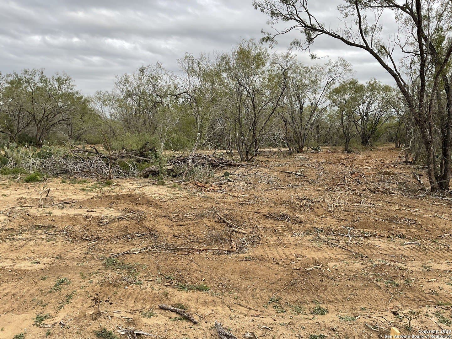 137 SYLASHAYES LOOP