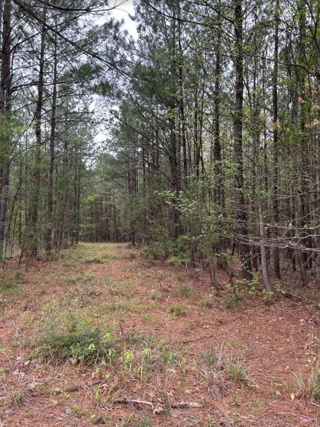2.58 acres in Texas County
