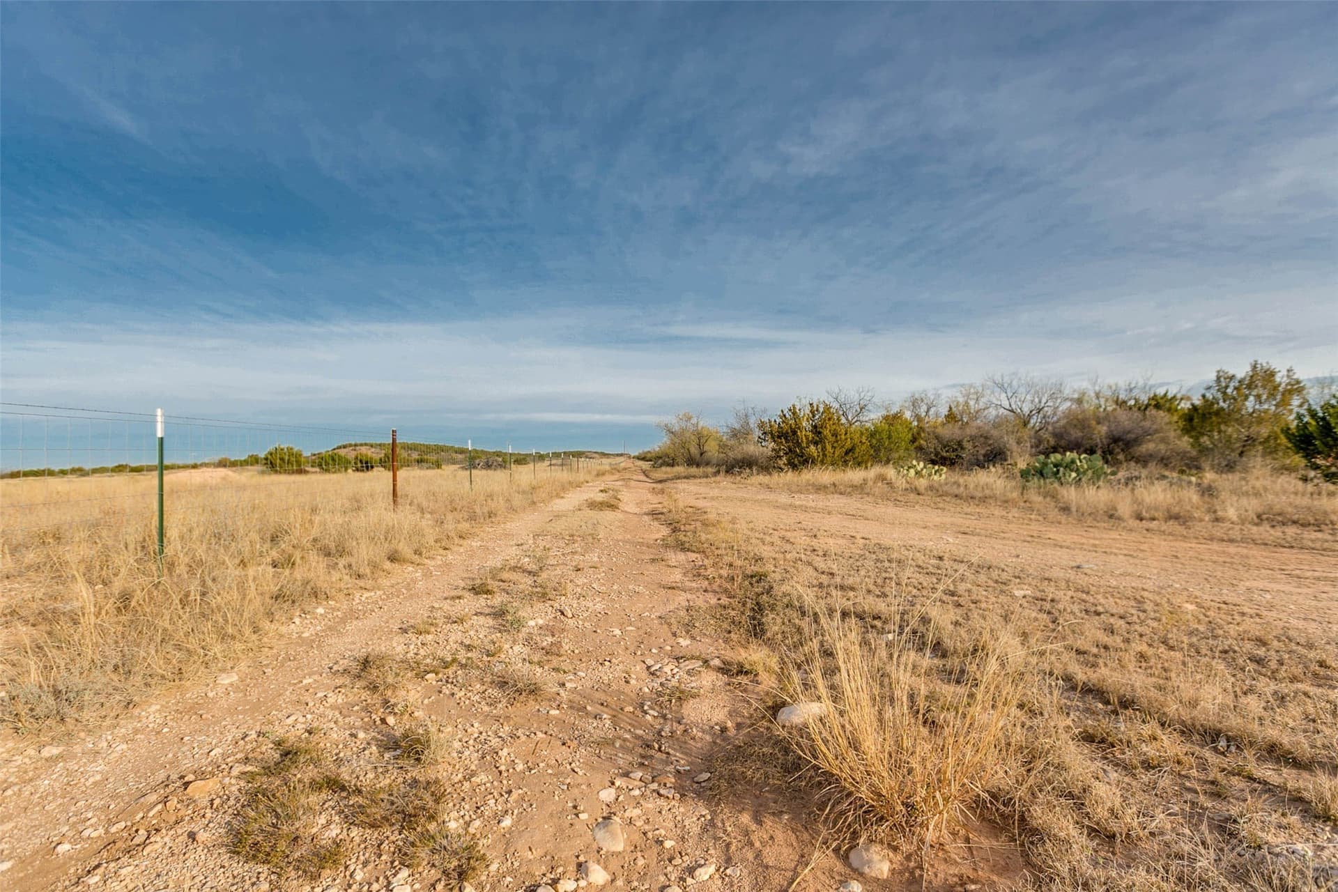 140 acres in Coke County