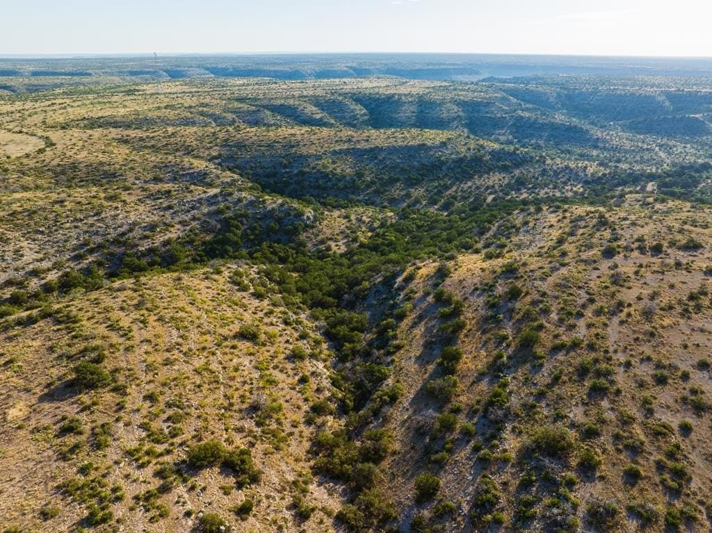 2,699.31 acres in Terrell County