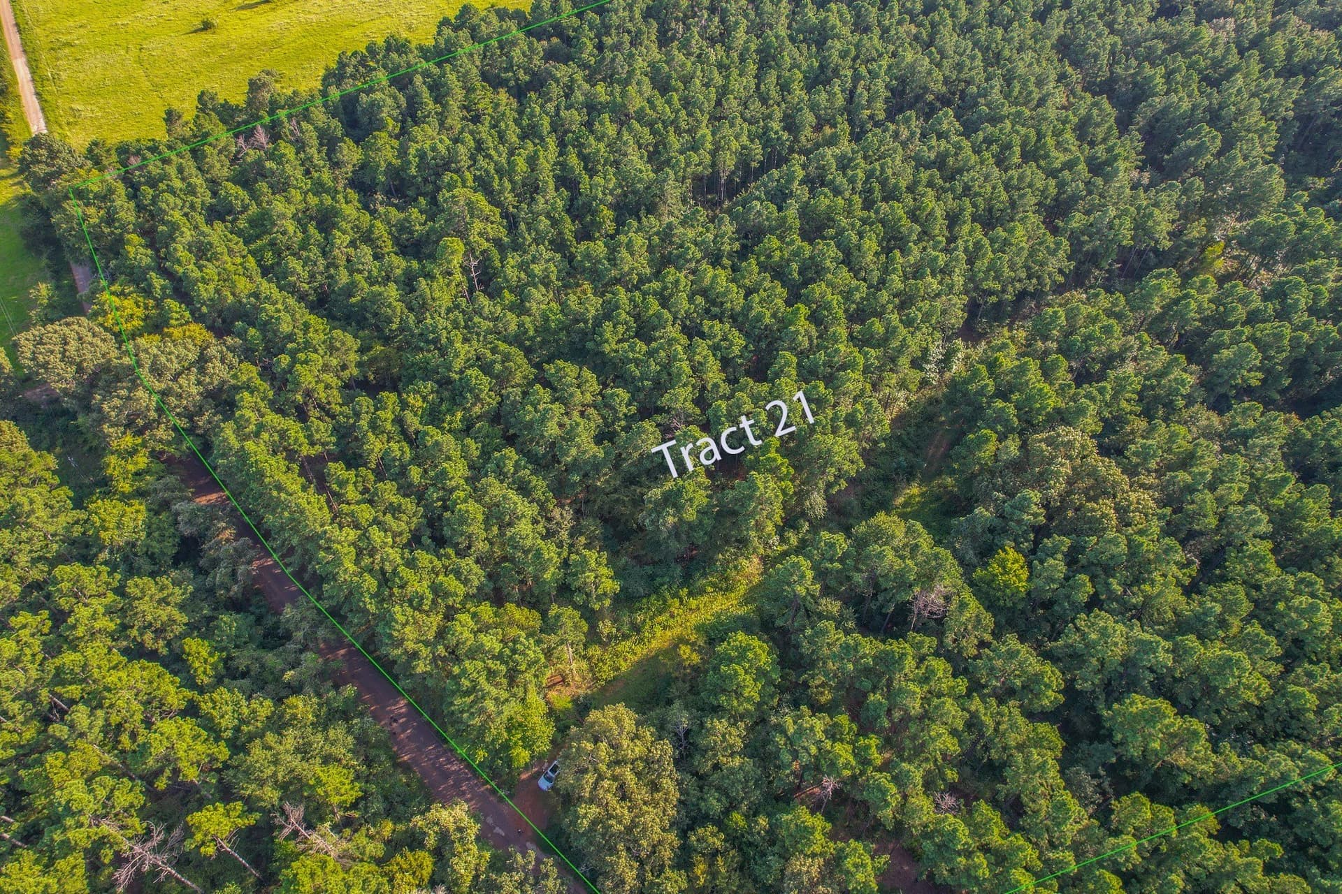 48 acres in Henderson County