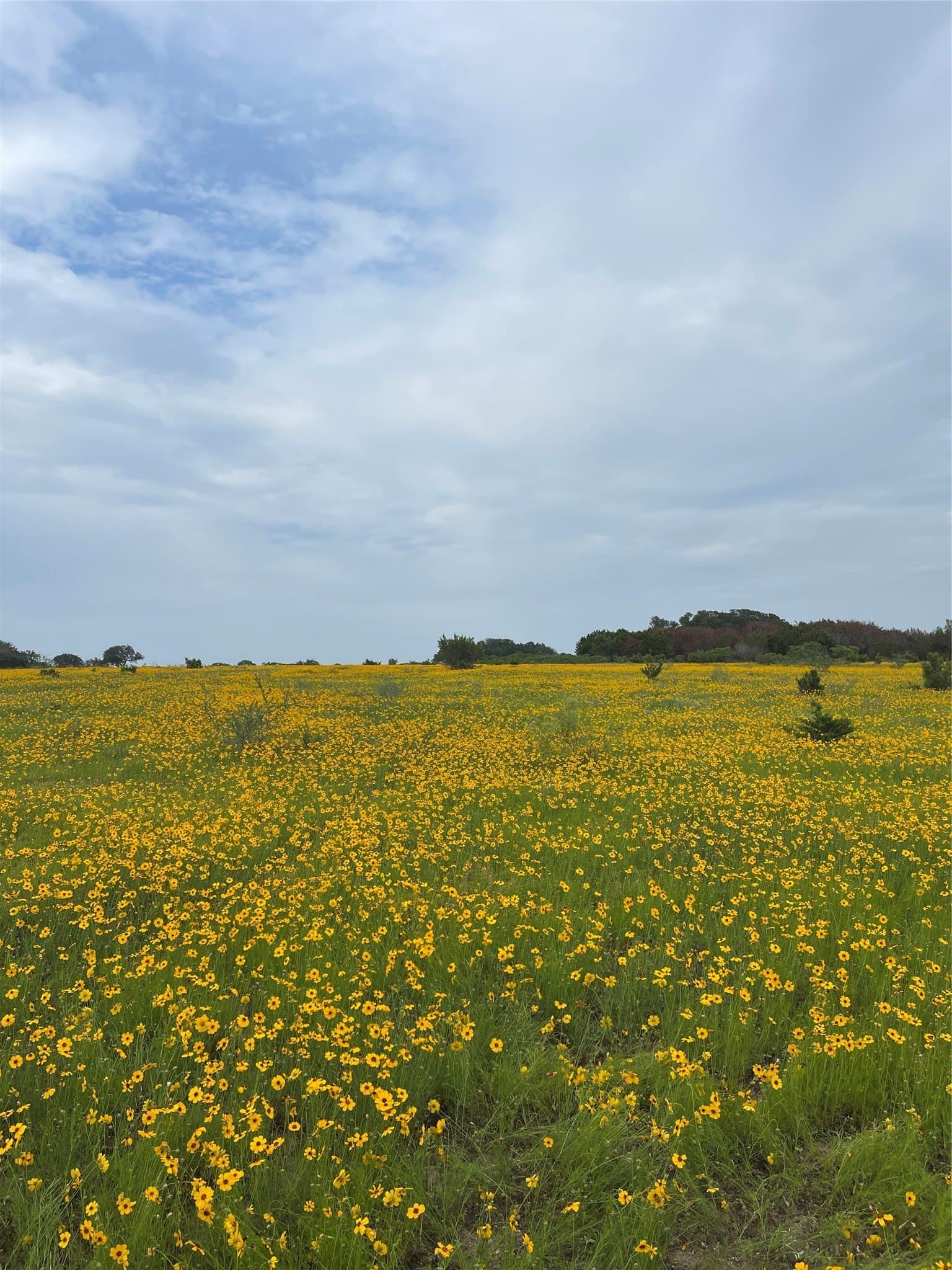 3.93 acres in Erath County