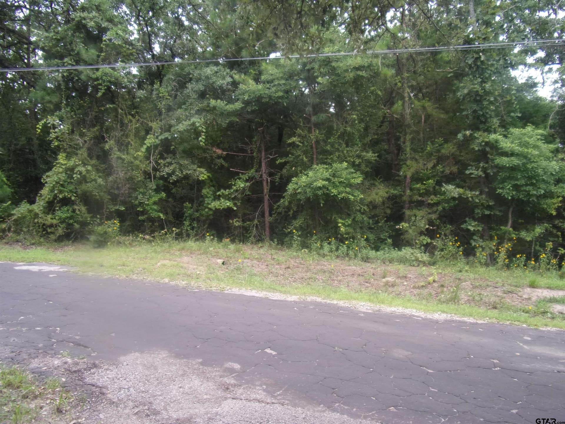 0.23 acres in Van Zandt County