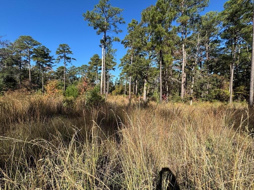 1.01 acres in Texas County