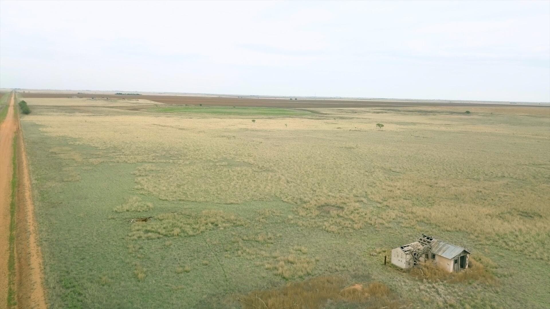 80 acres in Hale County