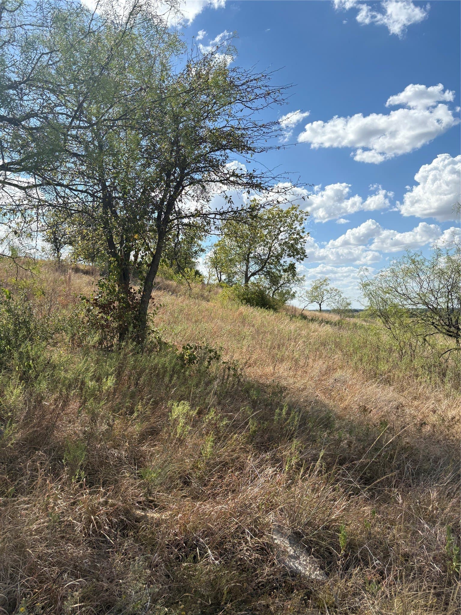 10.06 acres in Comanche County
