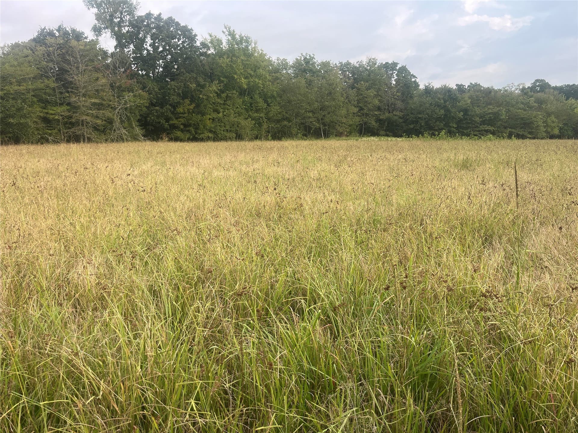 8 acres in Red River (TX) County