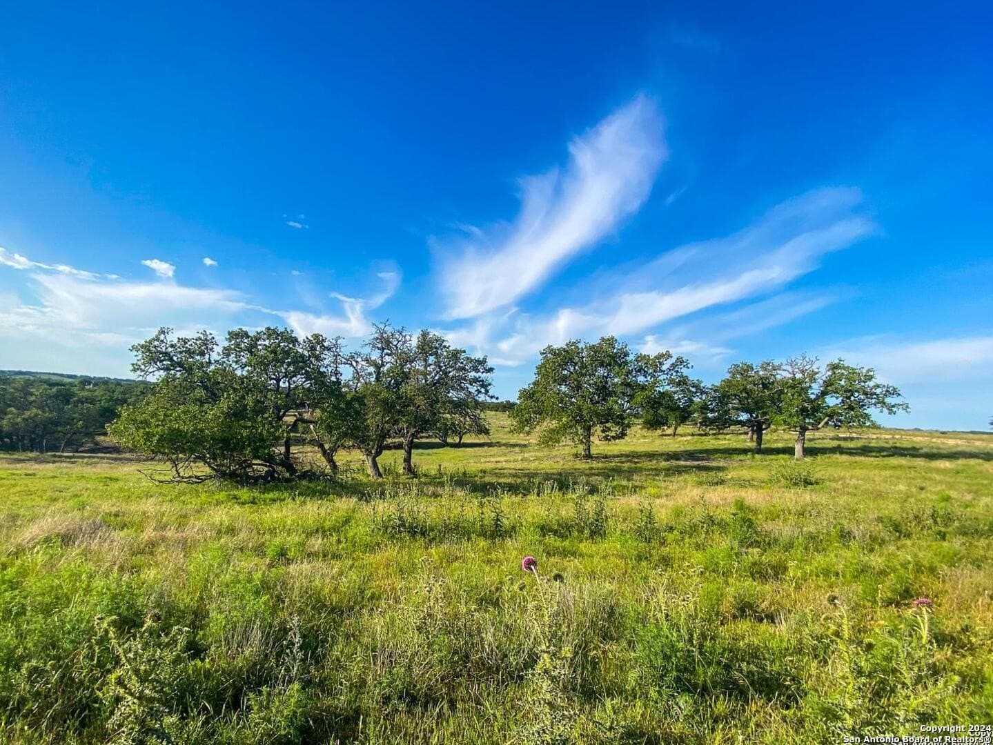 3.42 acres in Gillespie County