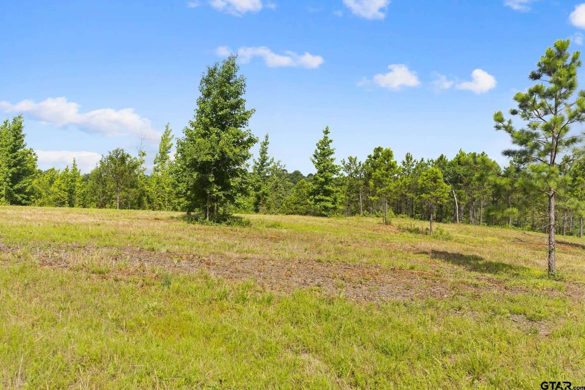 0.81 acres in Smith County