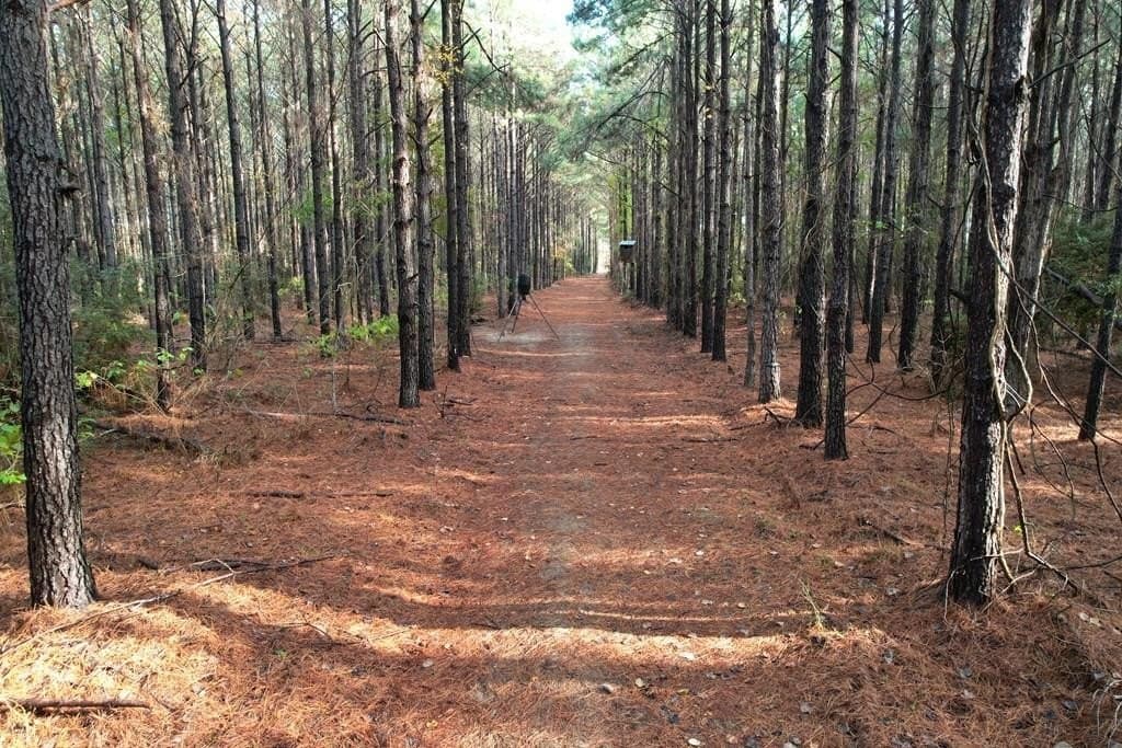 10.01 acres in Texas County