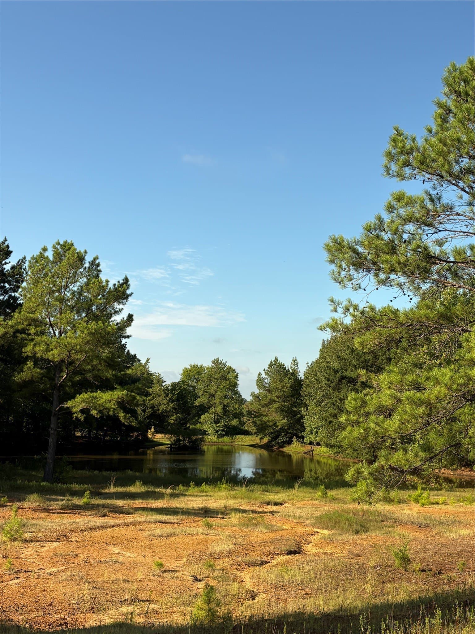 43 acres in Harrison County