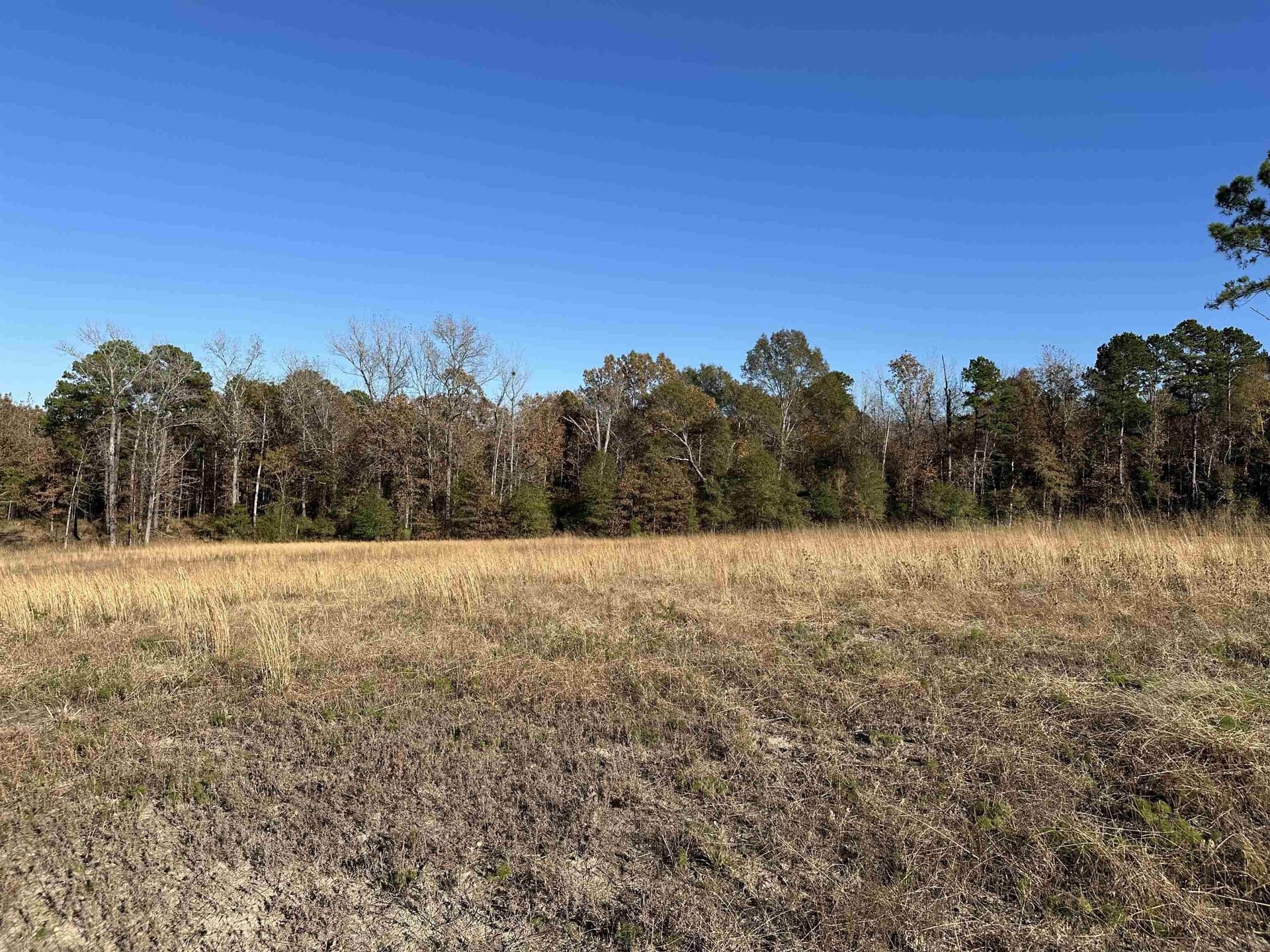 1.68 acres in Texas County