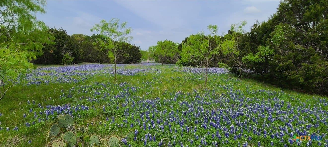89.11 acres in Lampasas County