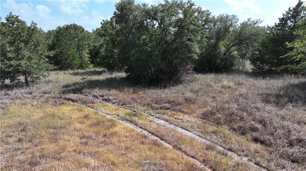 0.81 acres in Burleson County