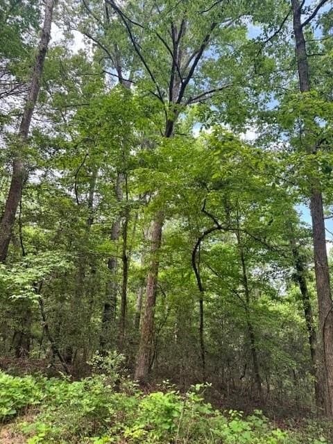 0.73 acres in Texas County