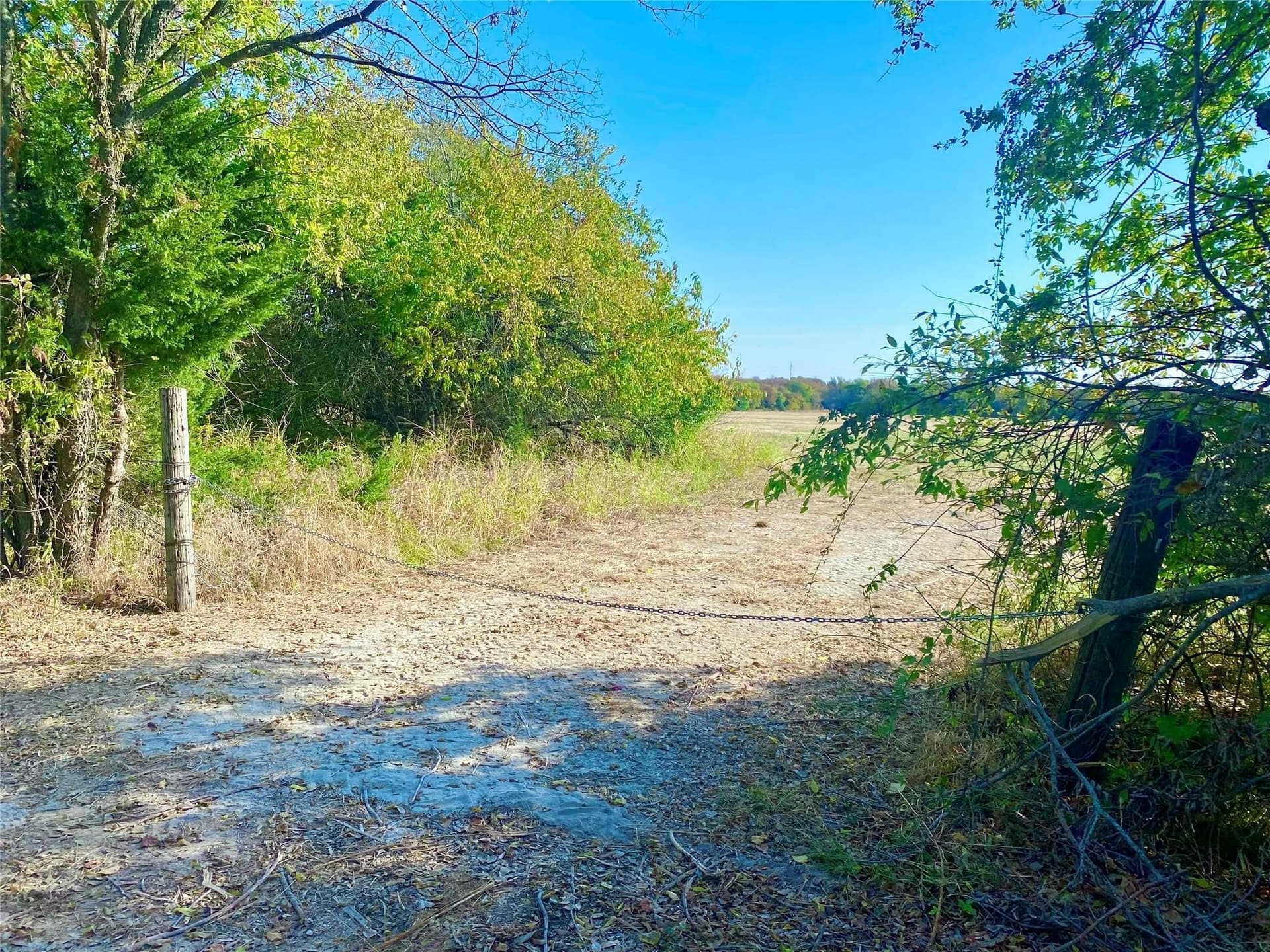 33.63 acres in Fannin County