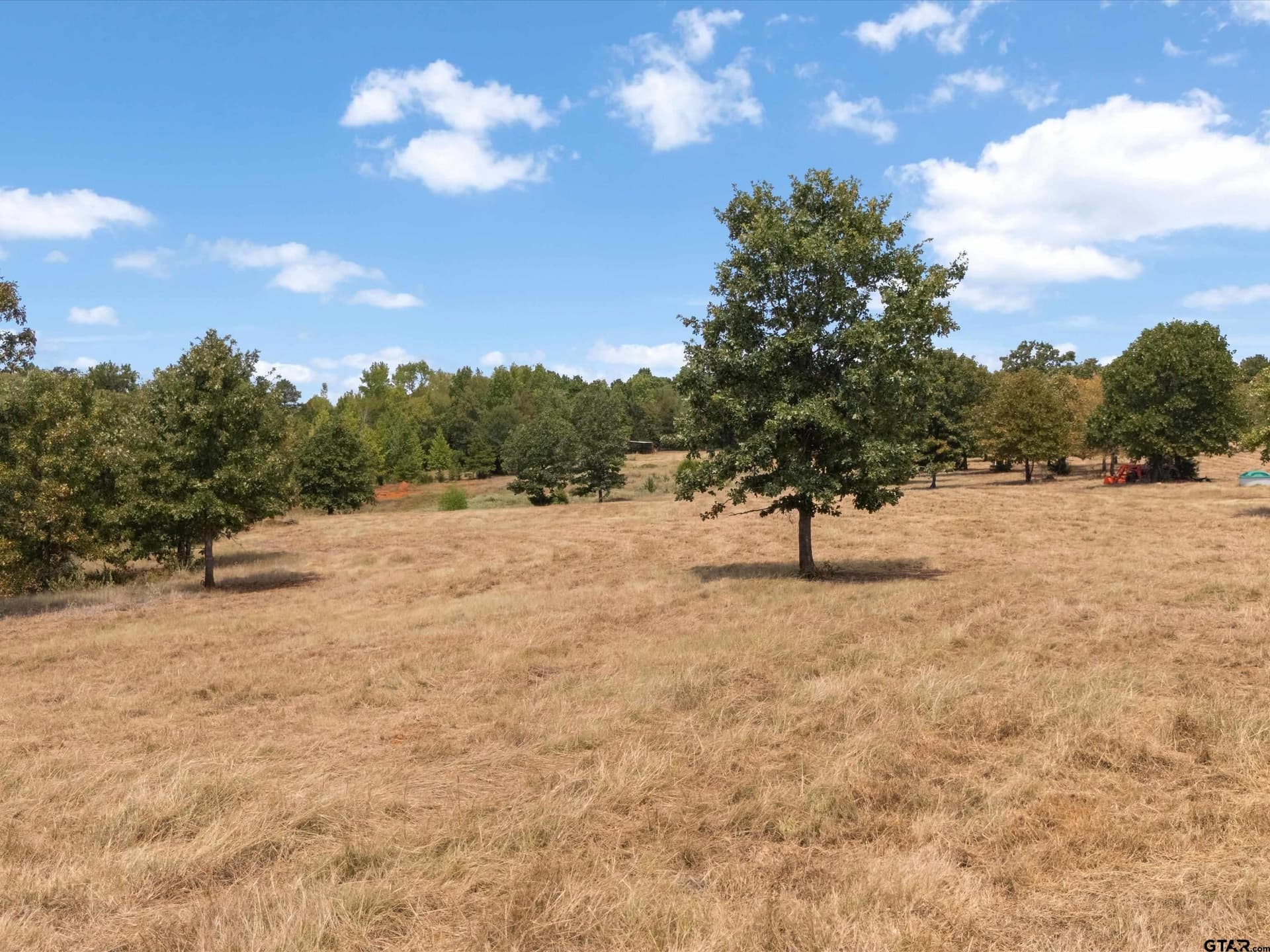 55 acres in Upshur County