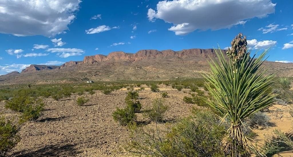 5 acres in Brewster County