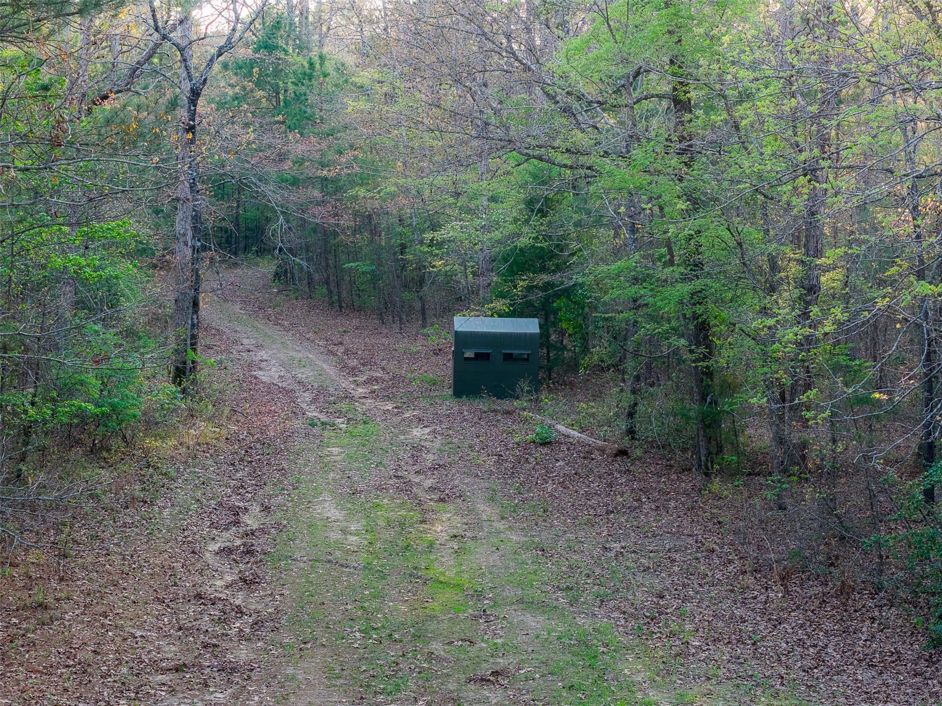 299 acres in Upshur County