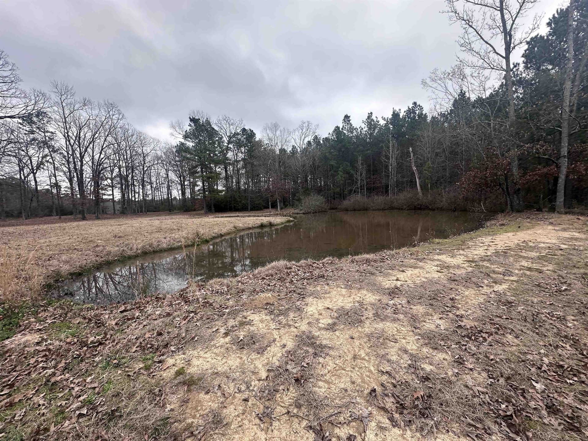 77.87 acres in Shelby County