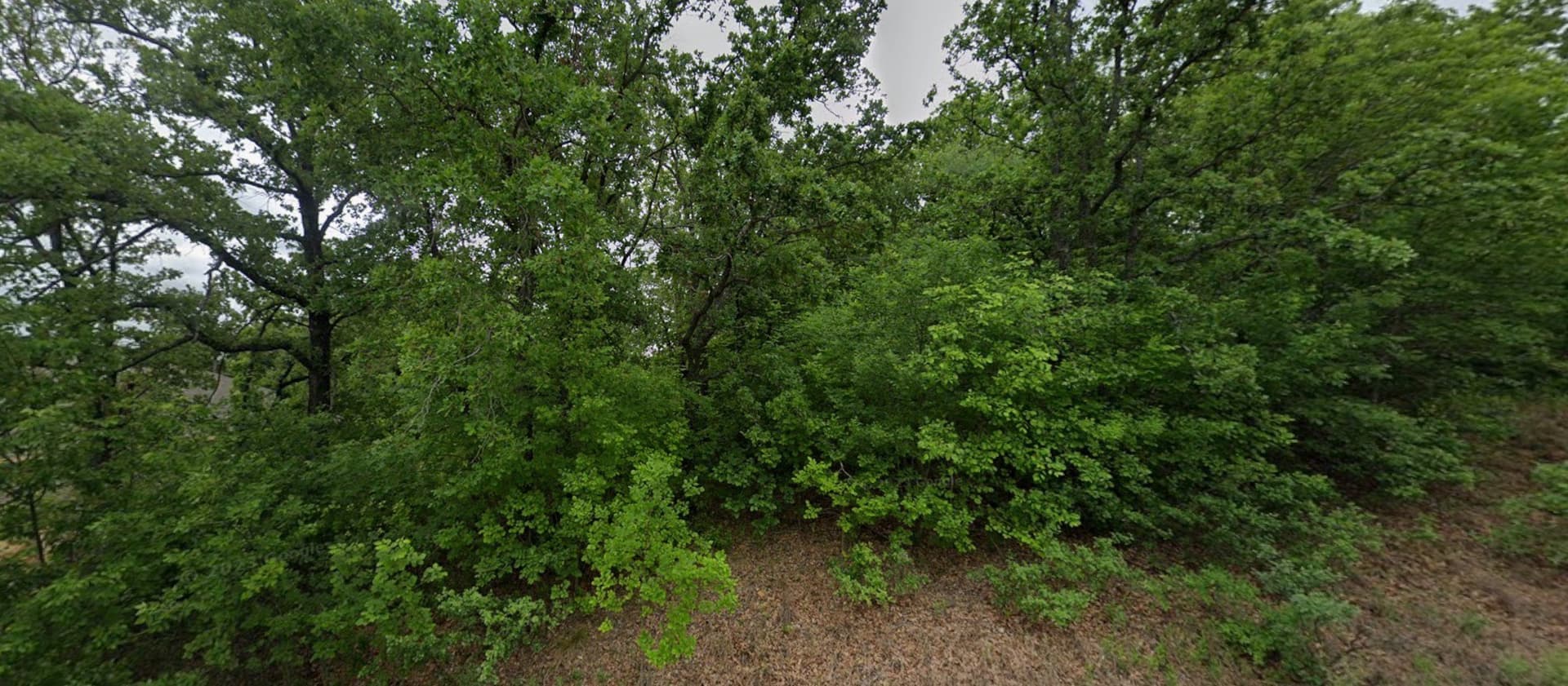 0.23 acres in Wise County