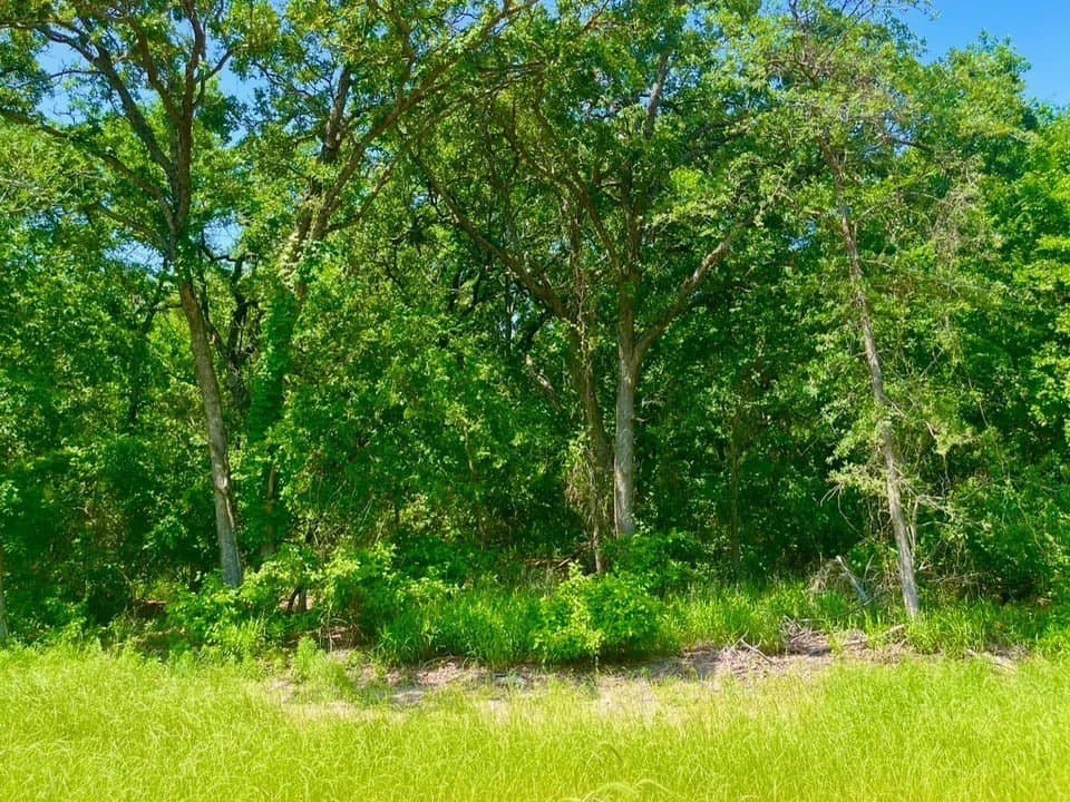 2.62 acres in Parker County