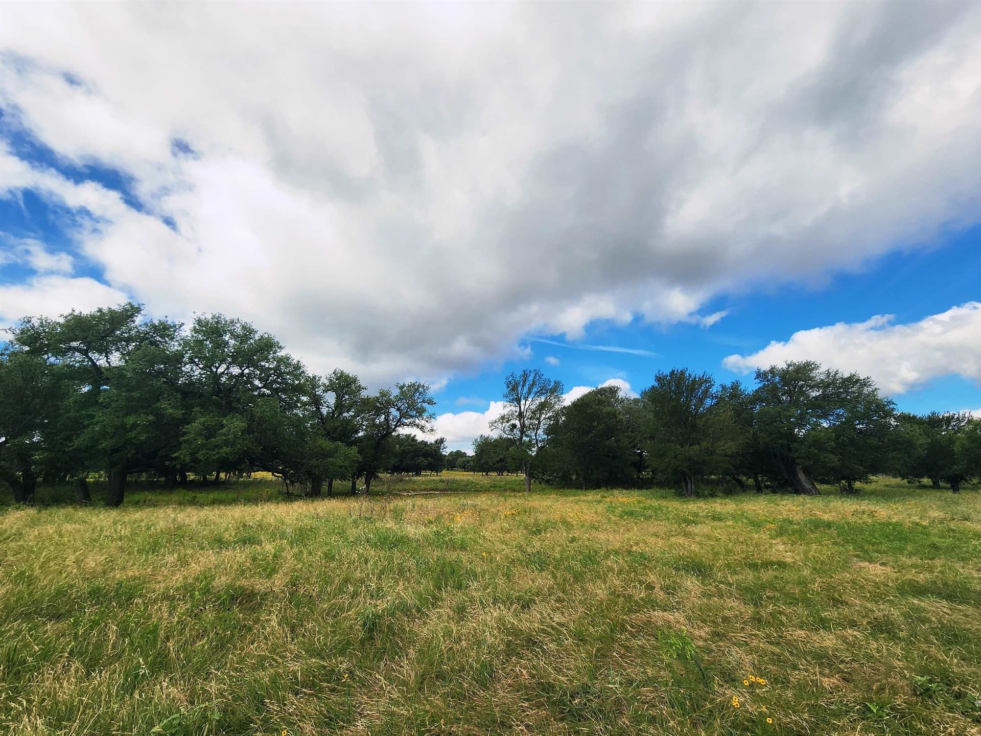 37.07 acres in San Saba County