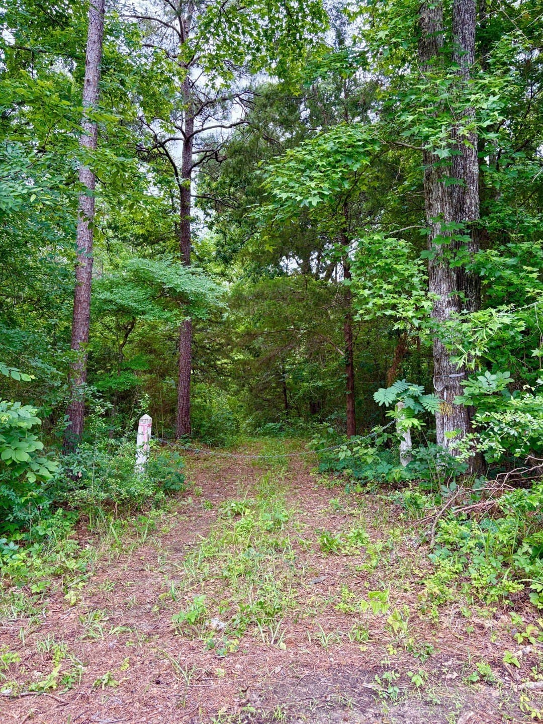 38.02 acres in Cherokee County
