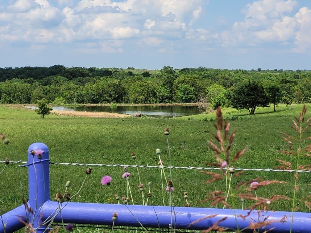 142.54 acres in Limestone County