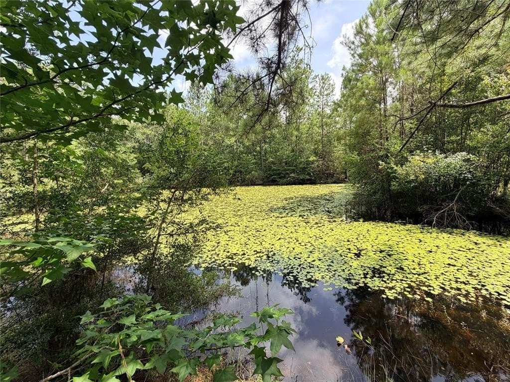 10 acres in Texas County