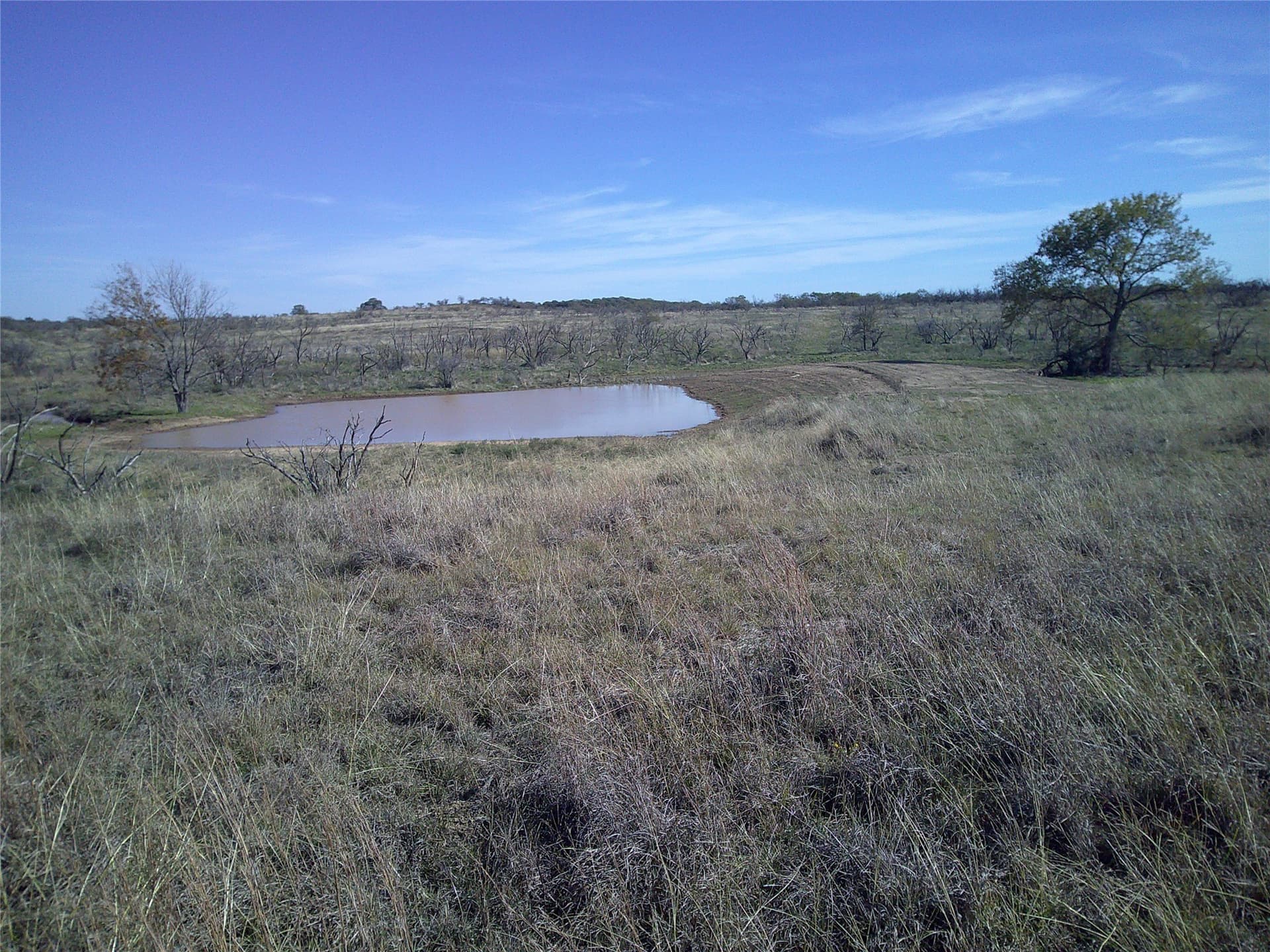 25 acres in Clay County