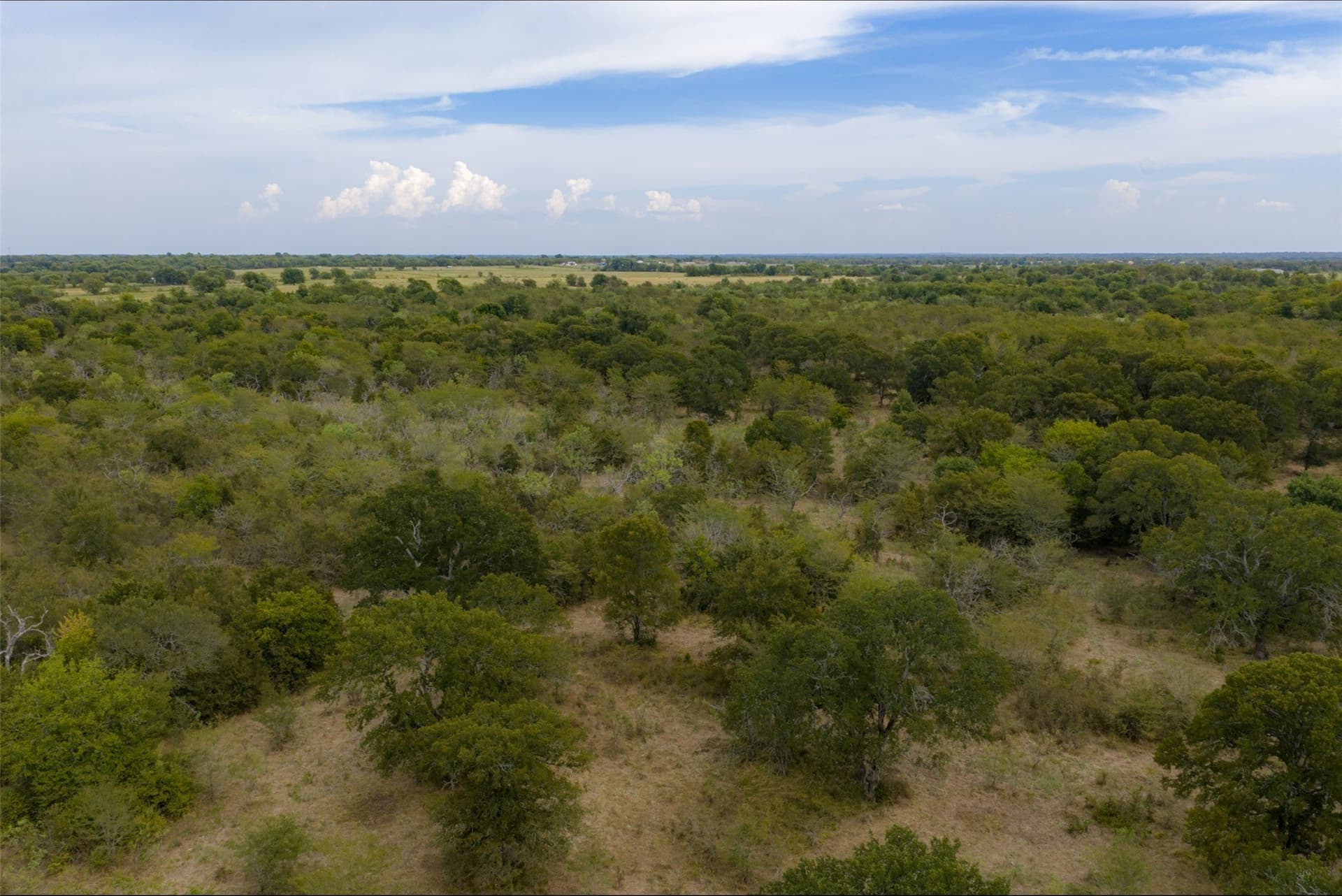 300 acres in Van Zandt County