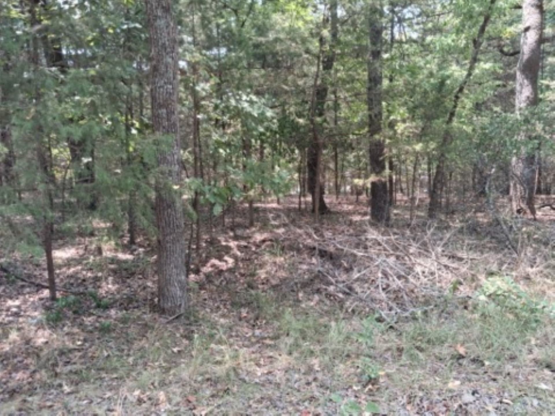 0.24 acres in Van Zandt County
