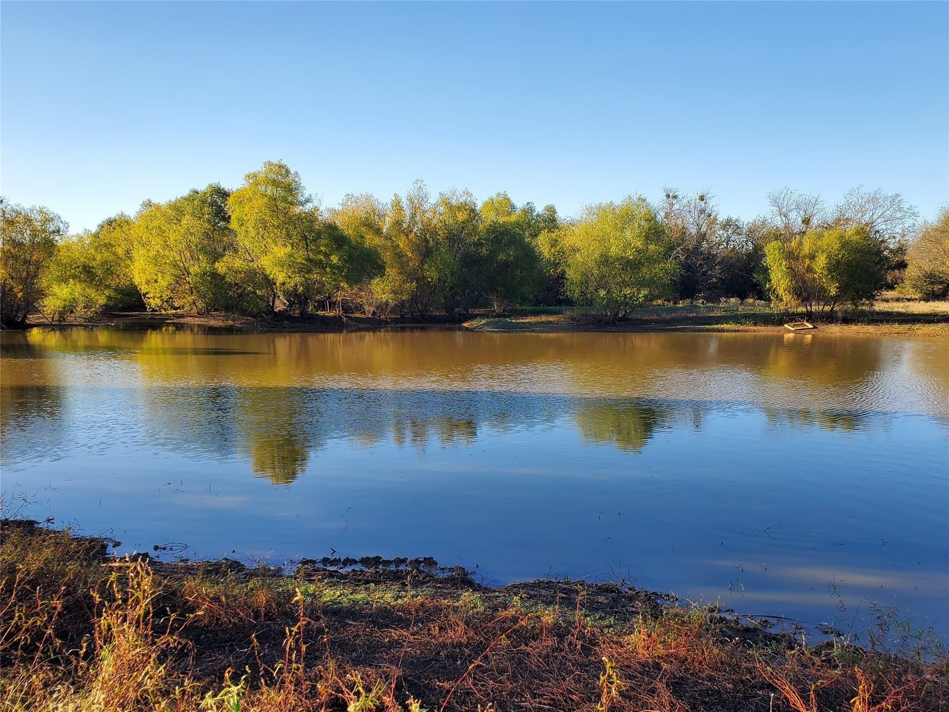 24.33 acres in Fannin County