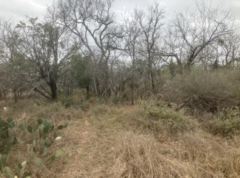 0.22 acres in Burnet County