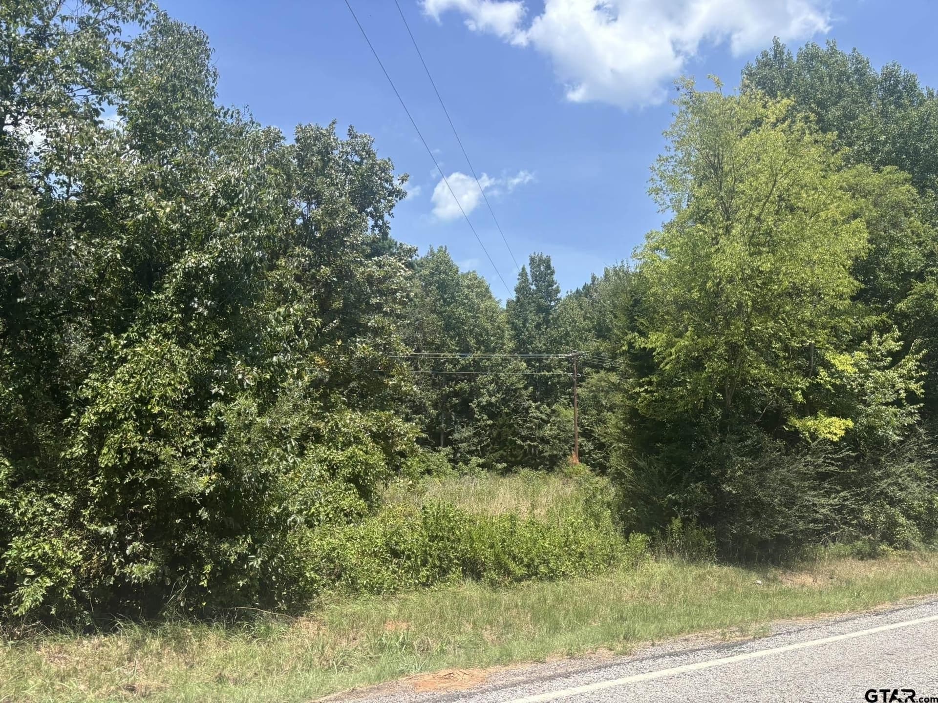 1.24 acres in Camp County