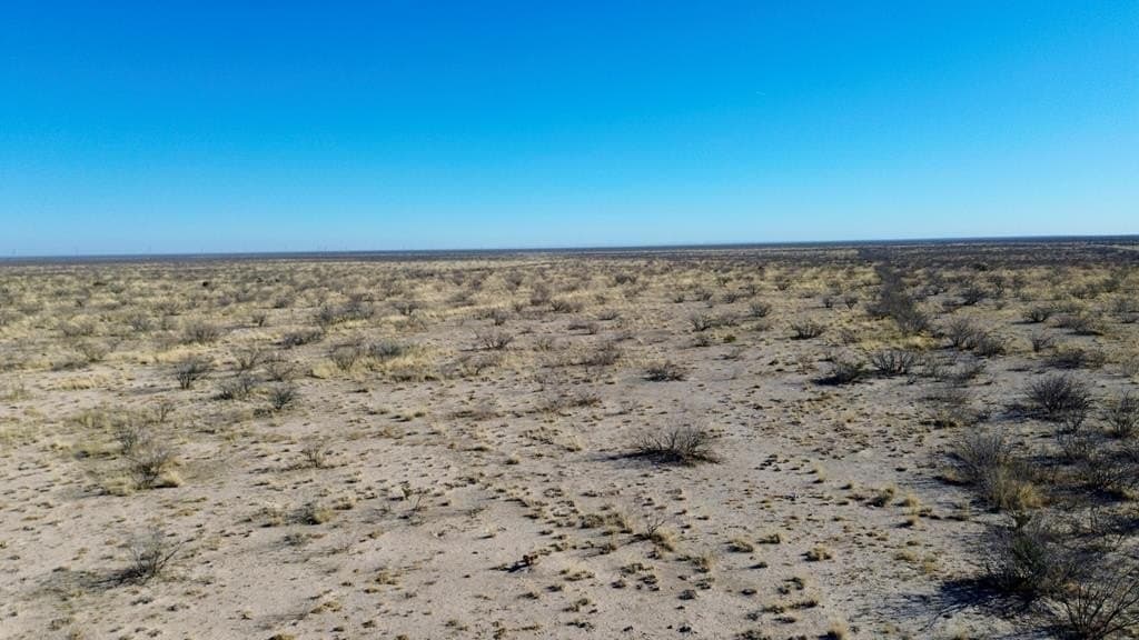 40 acres in Pecos County