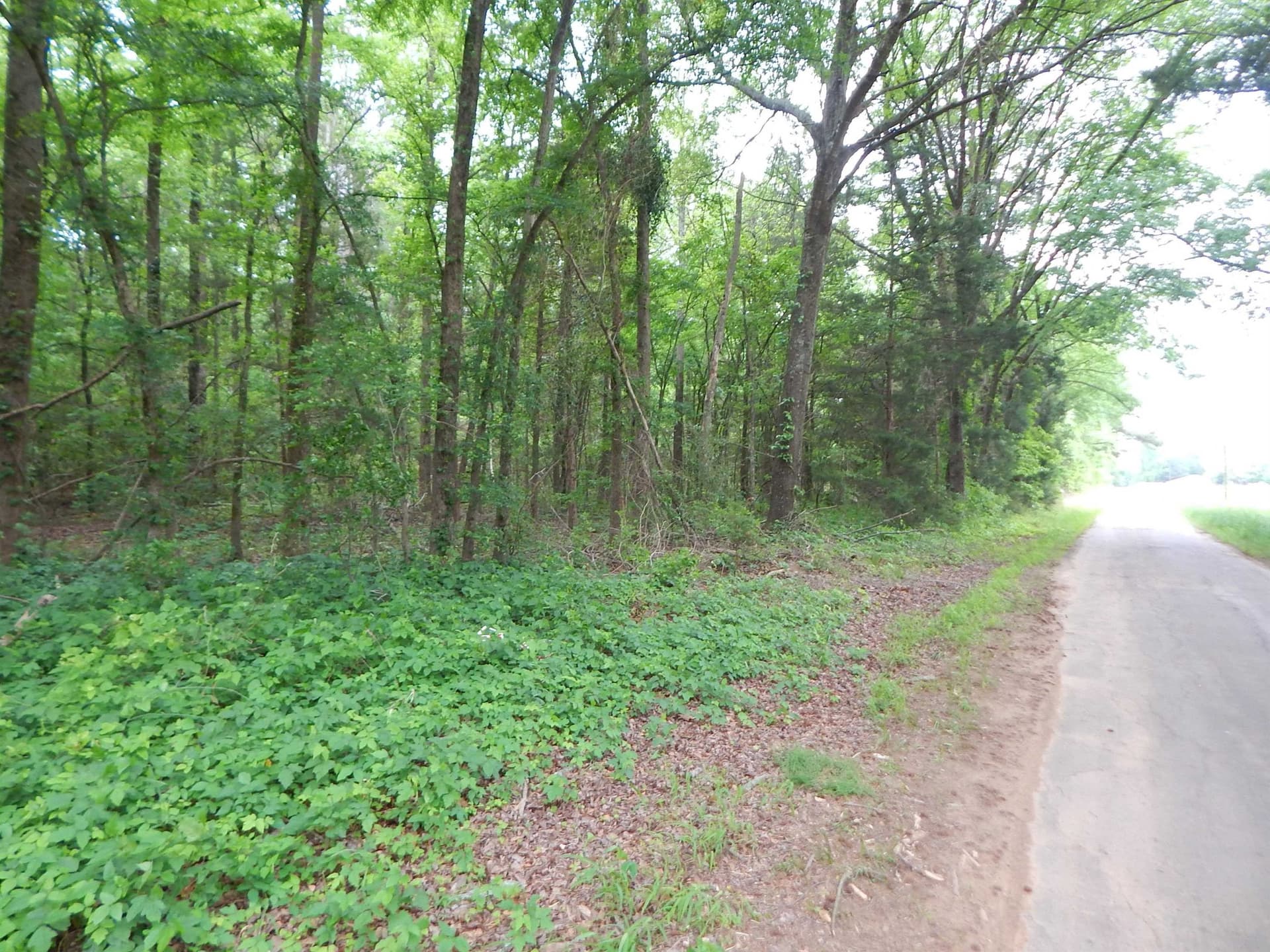 3.07 acres in Upshur County
