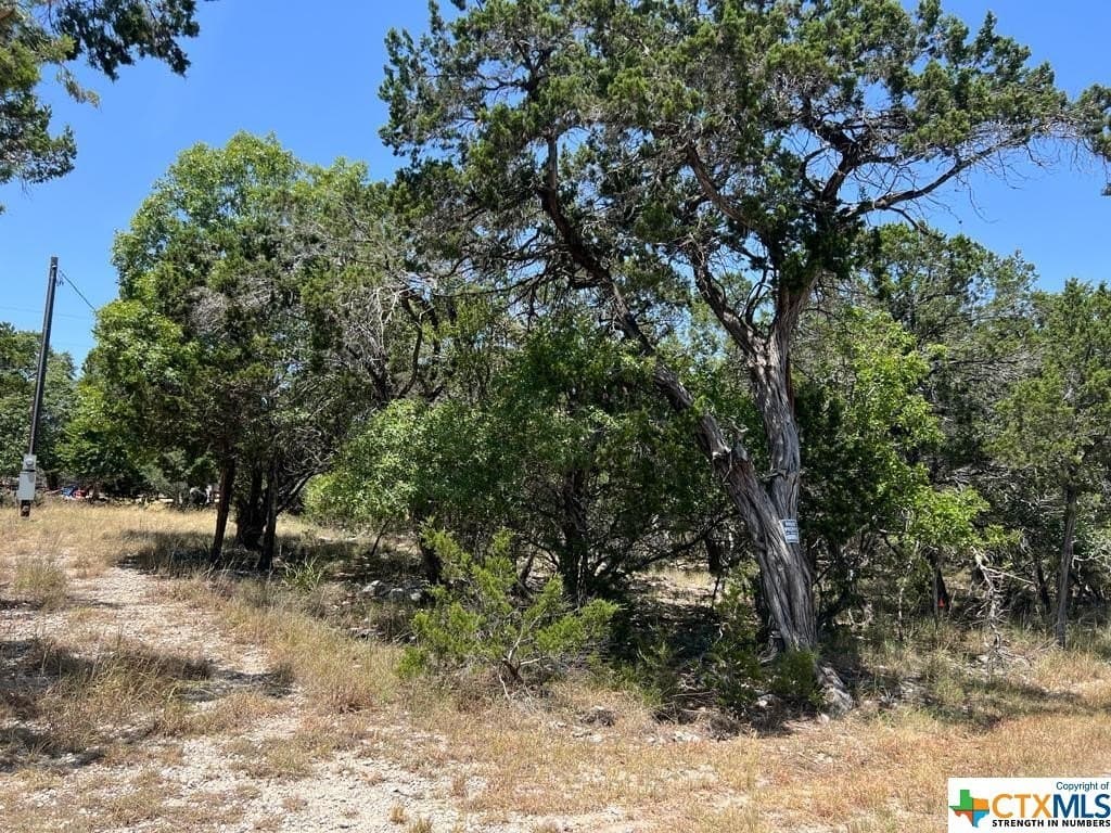 0.19 acres in Comal County