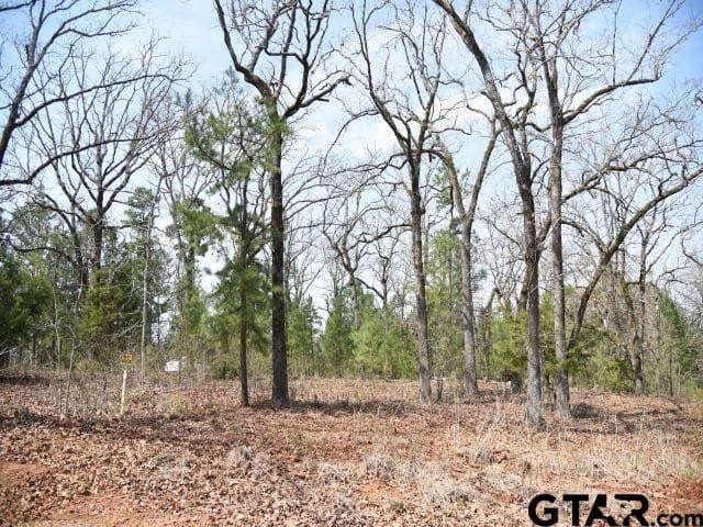 1.32 acres in Anderson County