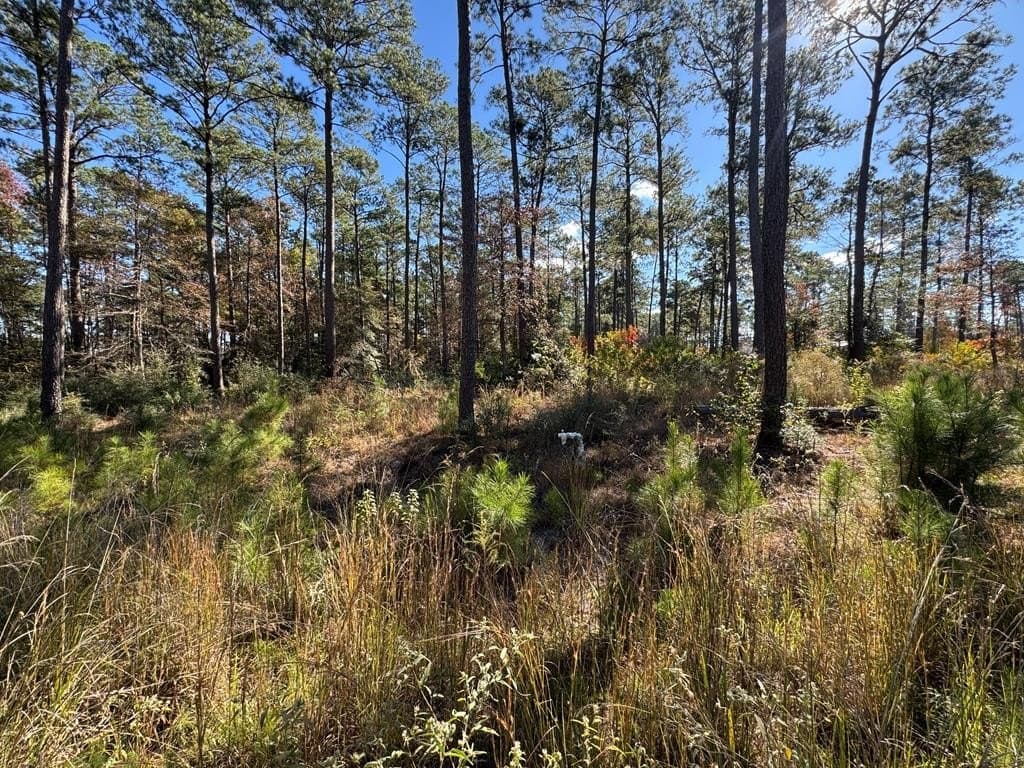 1.14 acres in Texas County