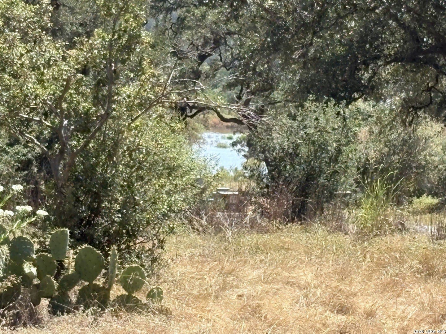 1.27 acres in Comal County