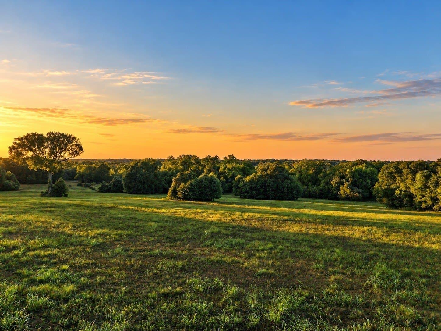 15.14 acres in Washington (TX) County