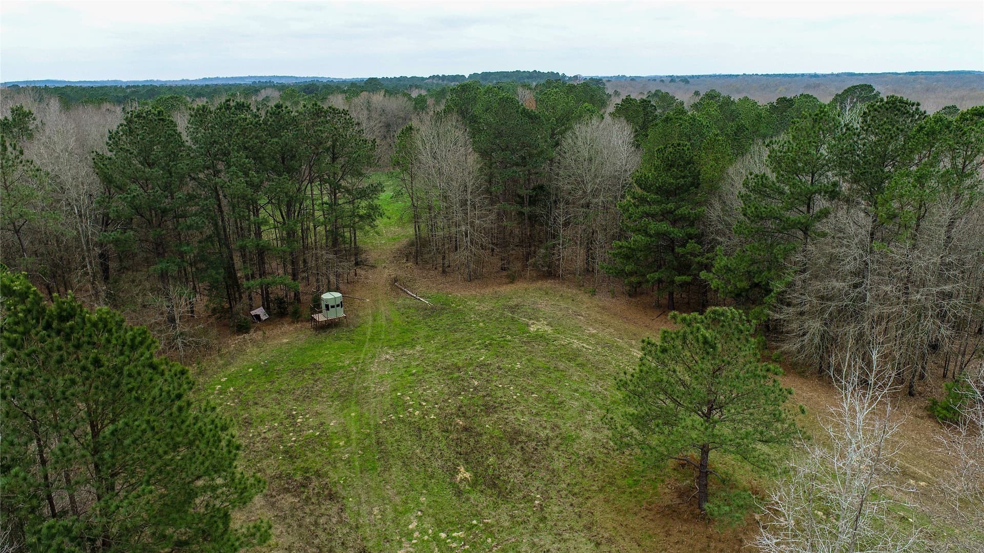 124.91 acres in Titus County