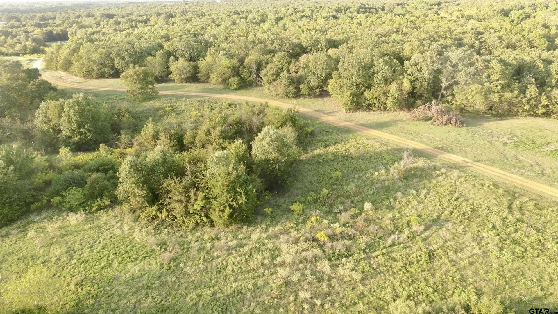 10.1 acres in Titus County